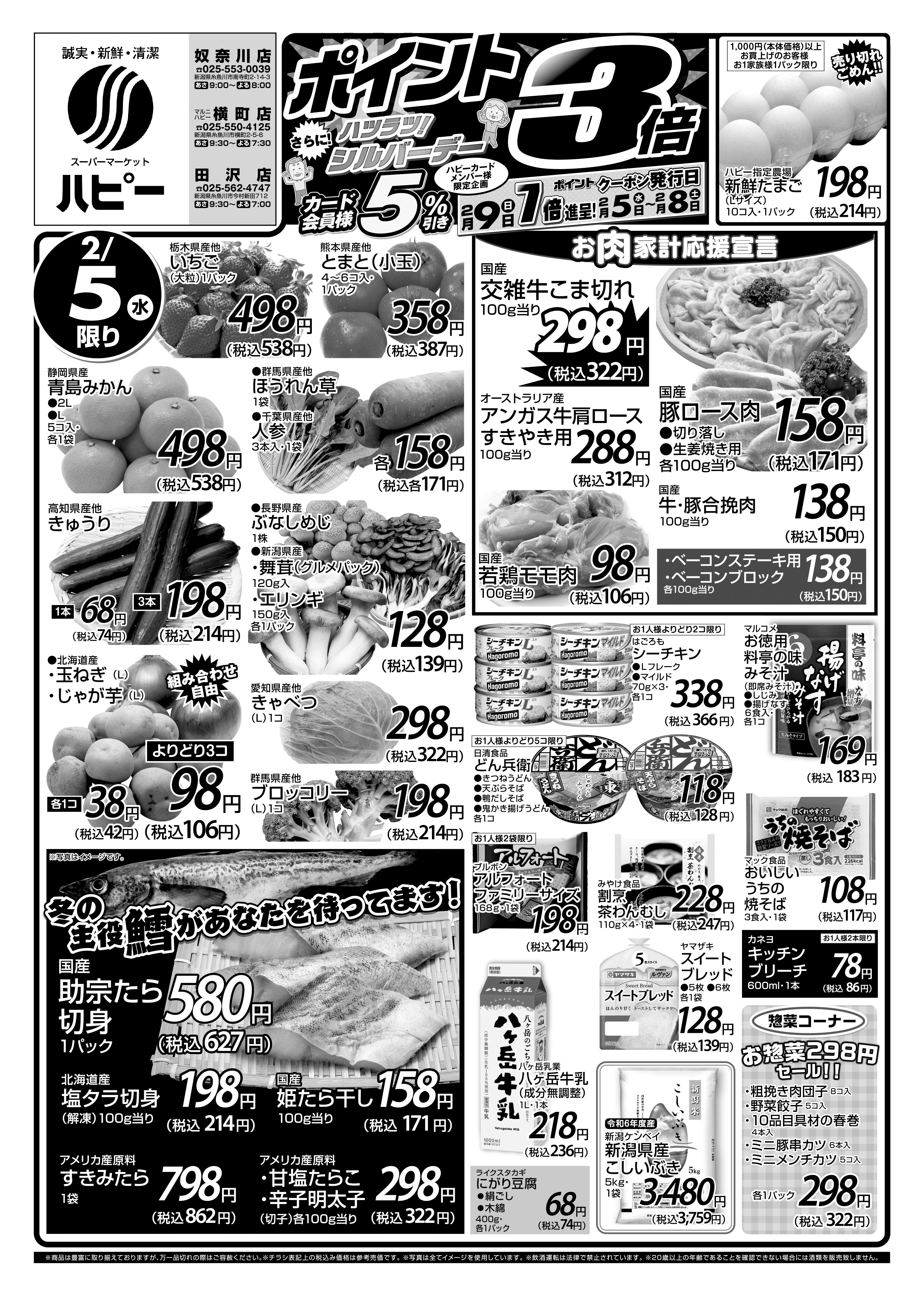 チラシ表面